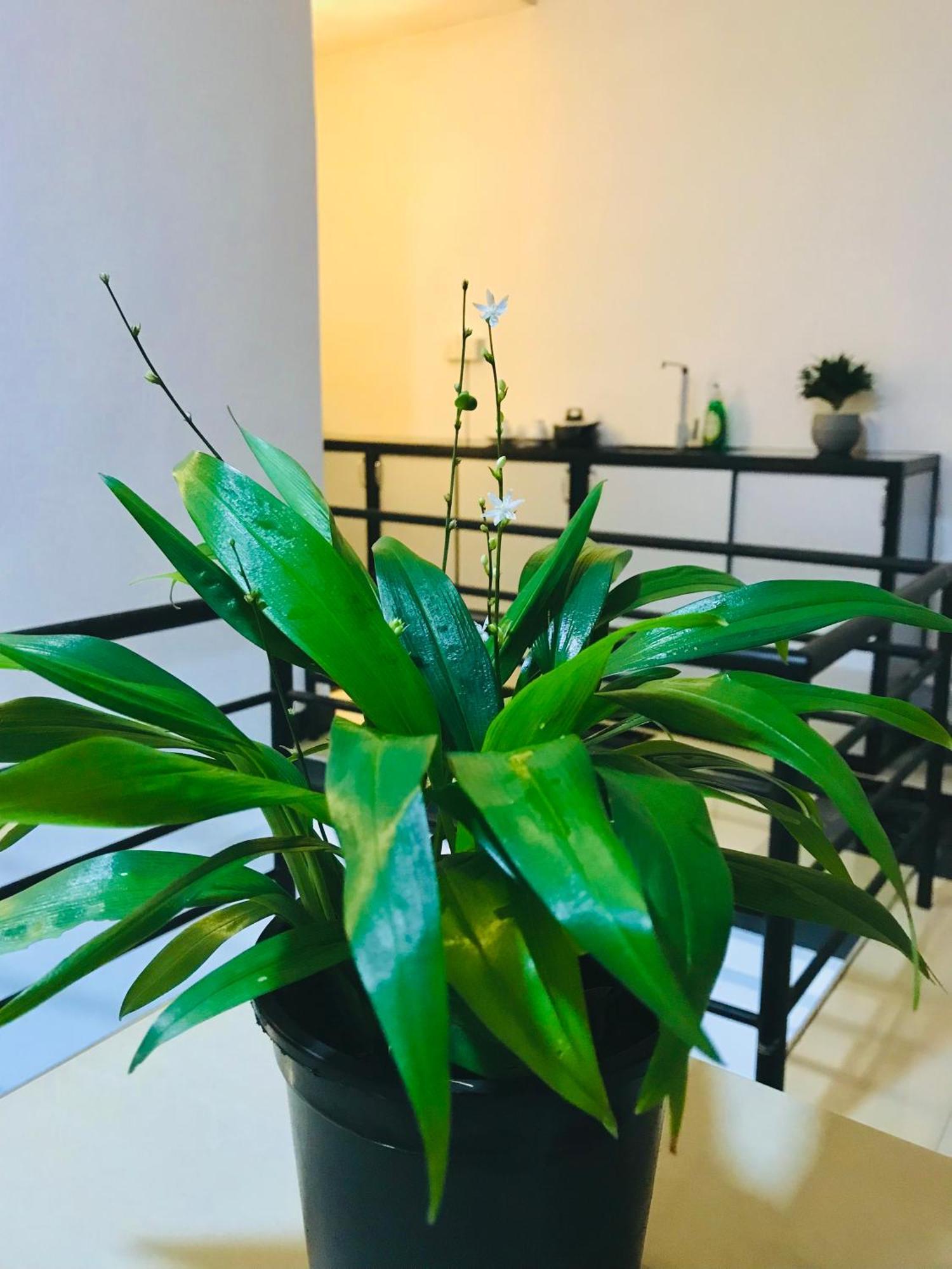 Summer House ميريسا المظهر الخارجي الصورة
