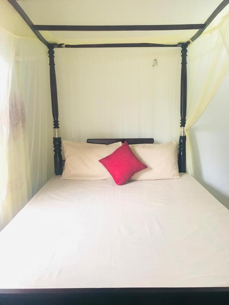 Summer House ميريسا المظهر الخارجي الصورة